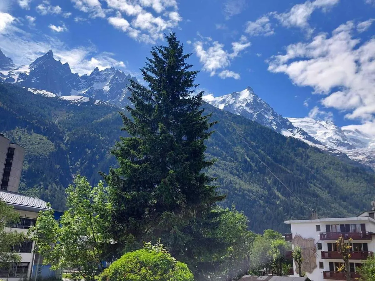 Apartamento Studio Cosy Avec Parking Et Animaux Admis, Proche Centre Chamonix - Fr-1-517-21